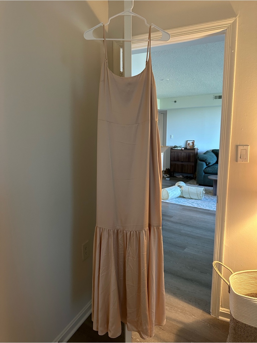 Reformation Slip Maxi Dress in Blush